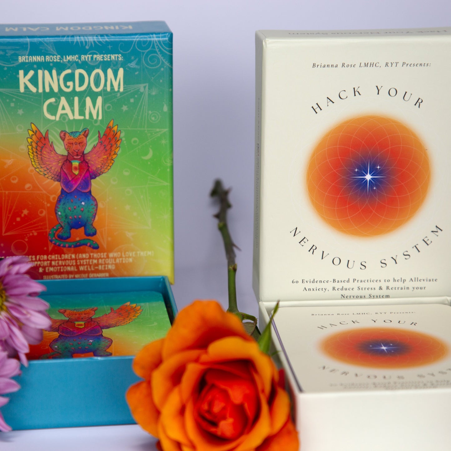Family Nervous System Pack” — 5 Hack Your Nervous System Decks + 5 Kingdom Calm Decks (save $70)